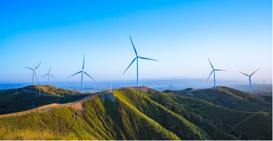 东部沿海地区因电商渗透率高、消费能力强