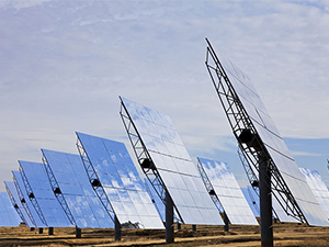 注册资金500万元人民币