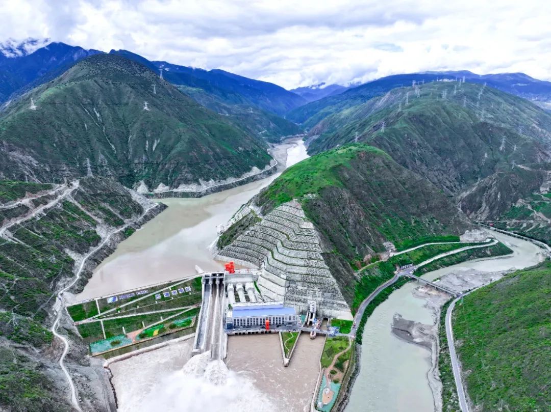 引起了业内的广泛关注